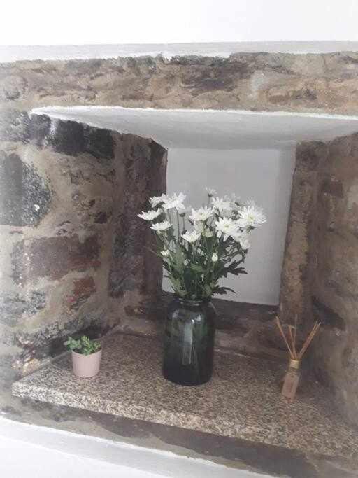 A Toca Do Cuco Na Vila Da Sertã Exteriér fotografie